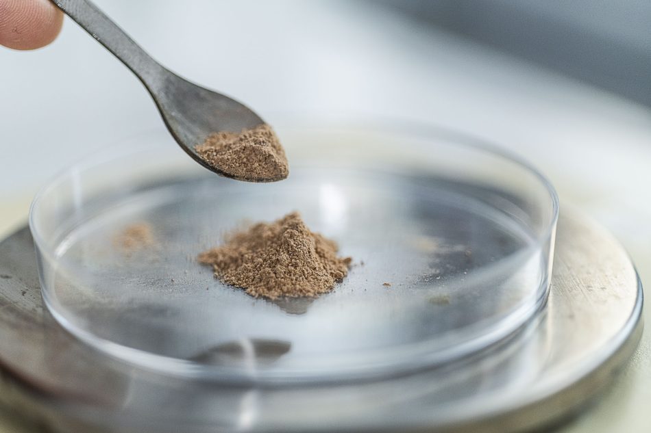 Photo by Tony Hall Copyrighted