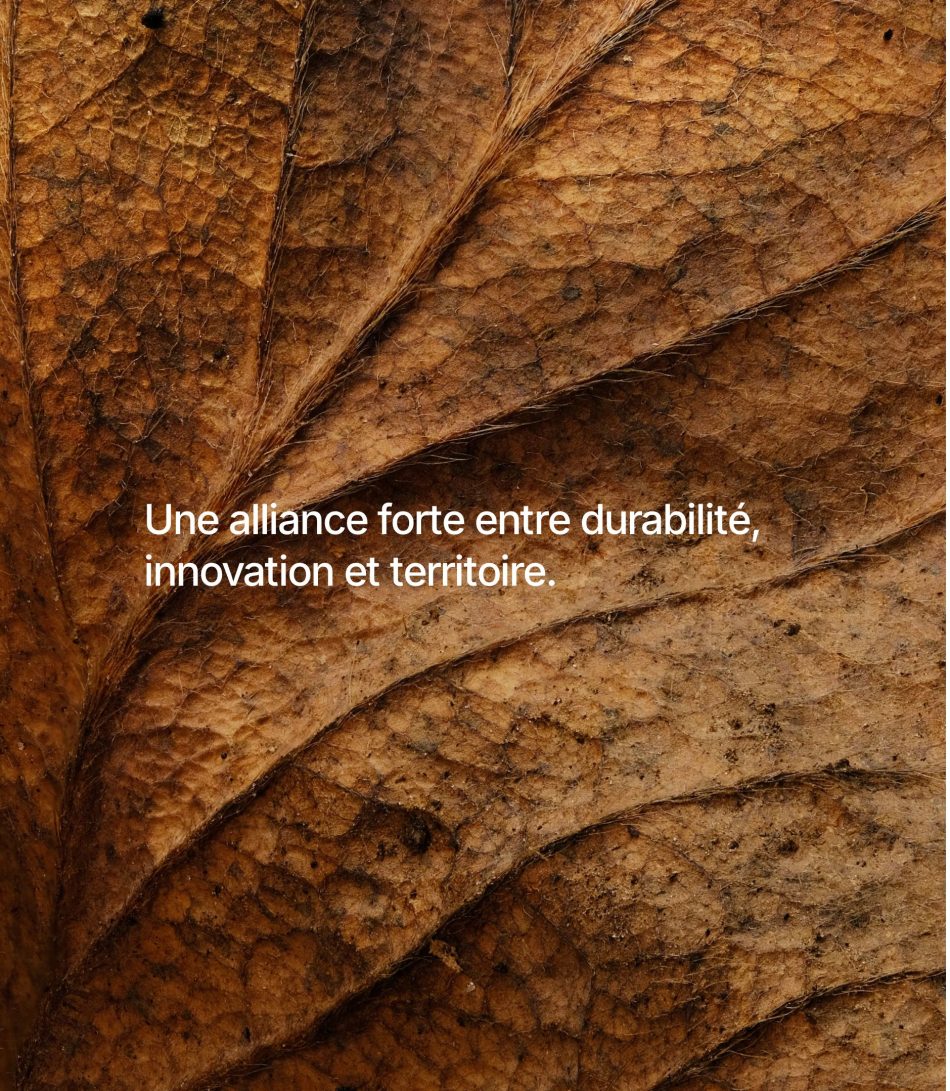 Bioéconomie et environnement : une approche intégrée