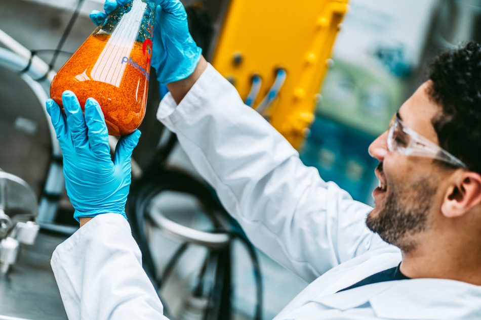 Développement de procédés d’extraction par solvants bio-basés alternatifs aux solvants pétrosourcés conventionnels 