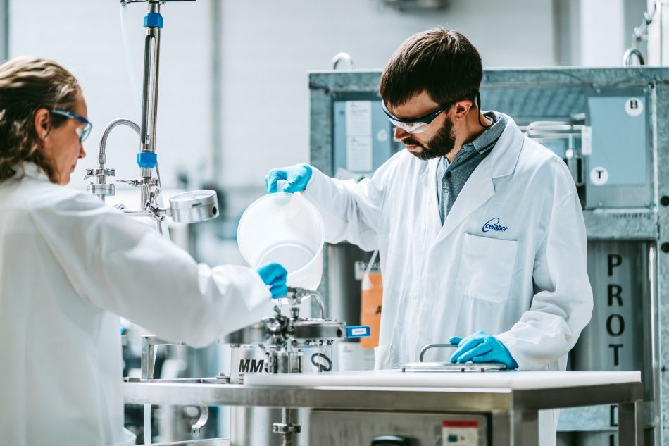 Développement et optimisation des procédés membranaires, ultrafiltration, nanofiltration, pour la séparation des macromolécules (polysaccharides, protéines, peptides, etc.)