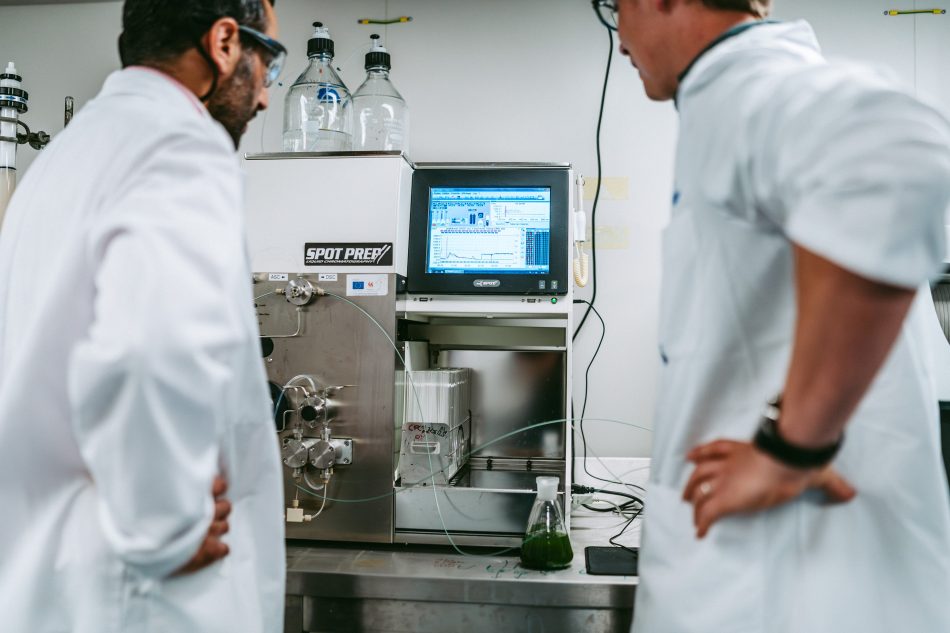 Développement de procédés d'enrichissement par des résines macroporeuses et de fractionnement par chromatographie préparative et semi-pilote