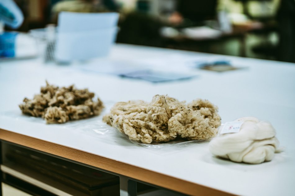 La laine : une expertise forte