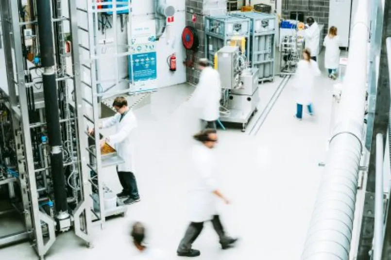 Coordination du projet FEDER Walextract à la base de notre expertise sur l'extraction